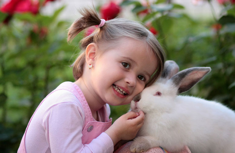 Hand-Raising Baby Rabbits - Feeding, Vaccinations & More