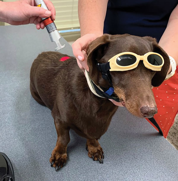 Laser Therapy